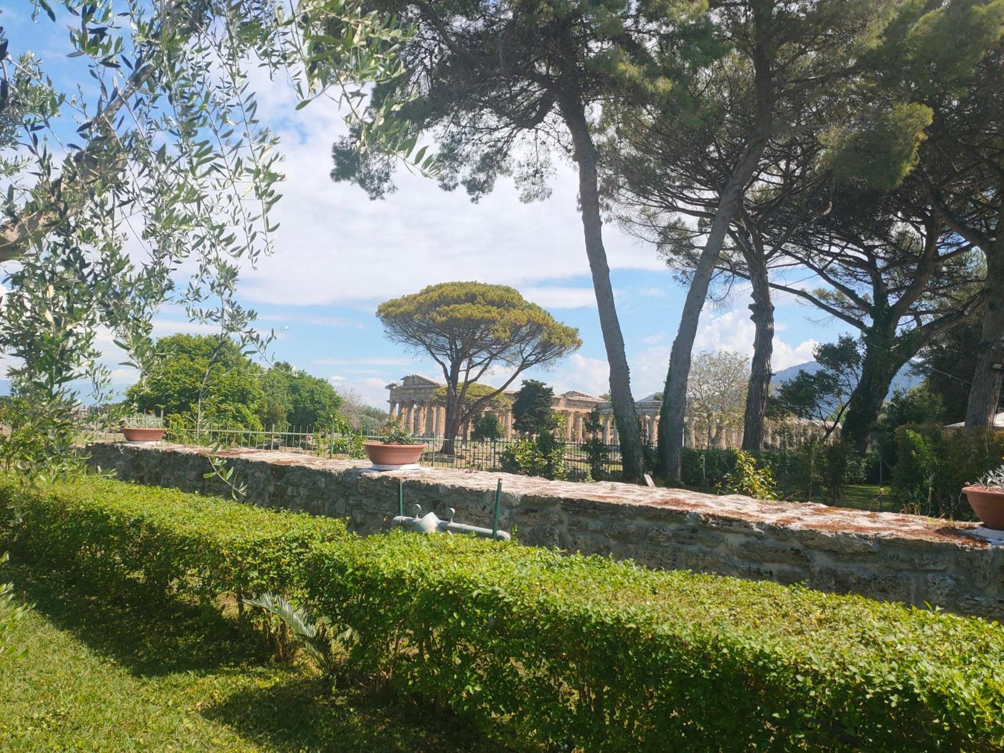파이스툼 Il Giardino Di Athena 1 아파트 외부 사진