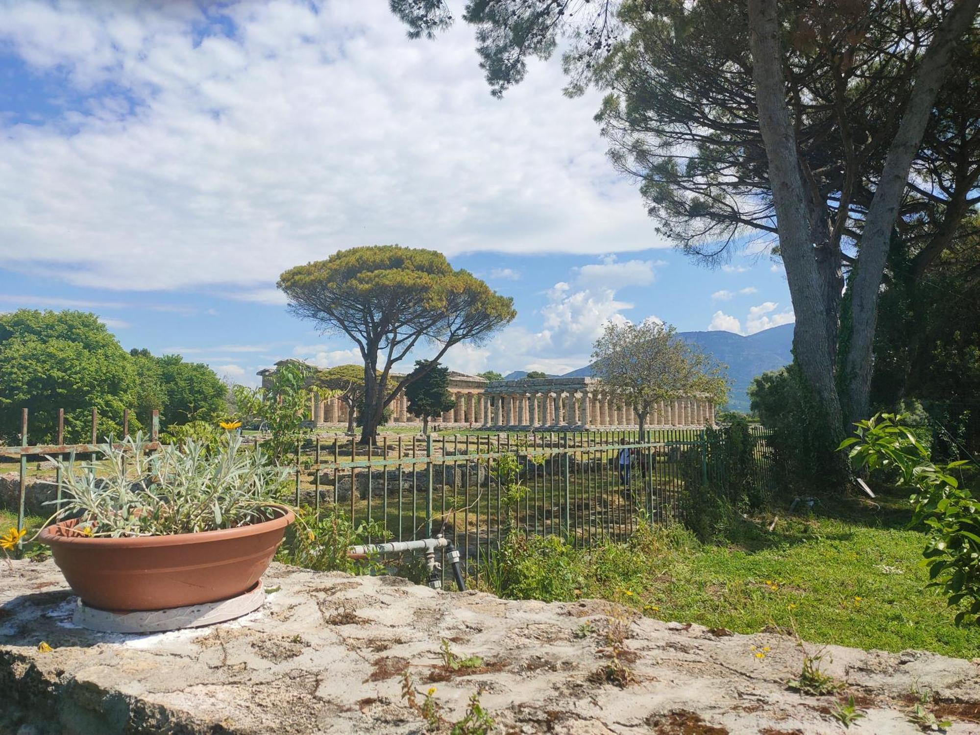 파이스툼 Il Giardino Di Athena 1 아파트 객실 사진